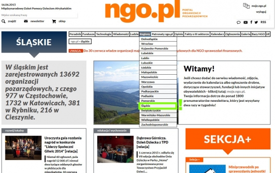 Nowy serwis regionalny slaskie.ngo.pl