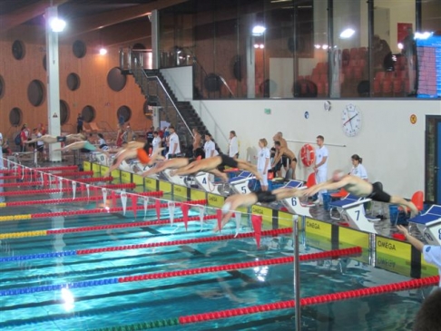 Sukcesy pływaków - seniorów z RAAS 60+